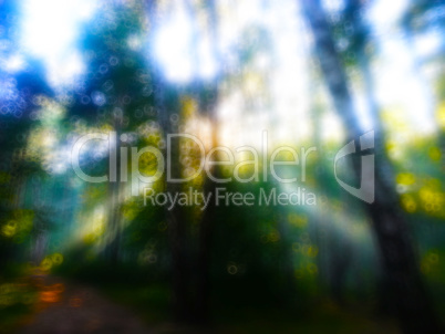 Horizontal dramatic sun rays in forest bokeh background