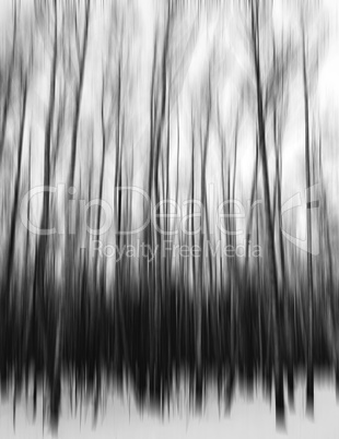 Vertical black and white motion blur trees art abstraction backd