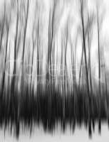 Vertical black and white motion blur trees art abstraction backd