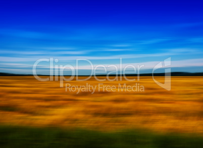 Horizontal vivid motion field meadow landscape