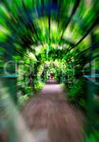 Green corridor motion zoom abstraction