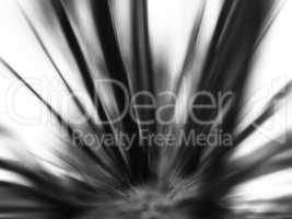 Vertical black and white motion blur blast abstraction backdrop