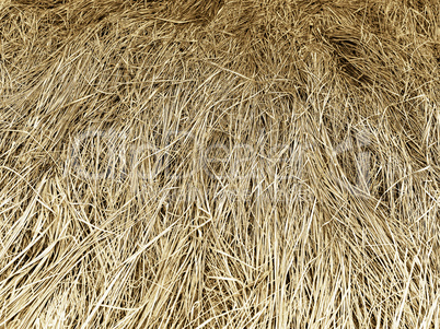 Horizontal yellow hay texture background backdrop