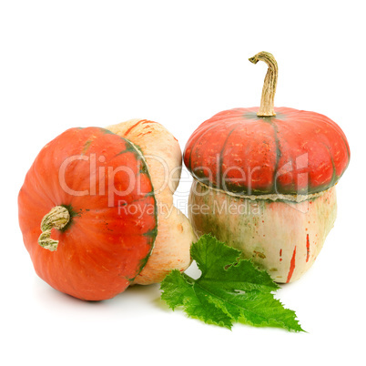 ripe pumpkin isolated on white background