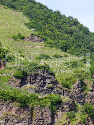 Weinberg-Steillage