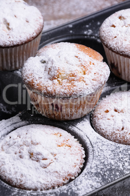 Muffins sugar powder