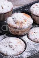 Muffins sugar powder