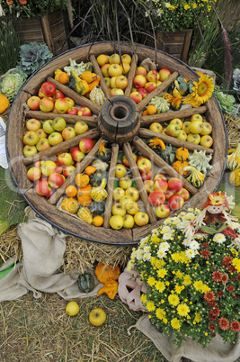 Wagenrad mit Obst