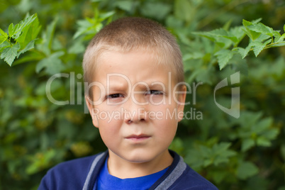 Portrait of a boy in nature