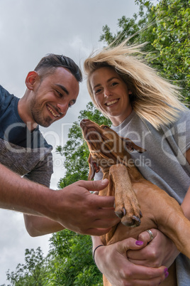 Close-up of smiling couple cuddling Hungarian Vizsla