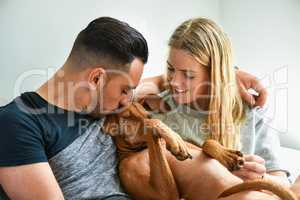 Close-up of man kissing dog with girlfriend