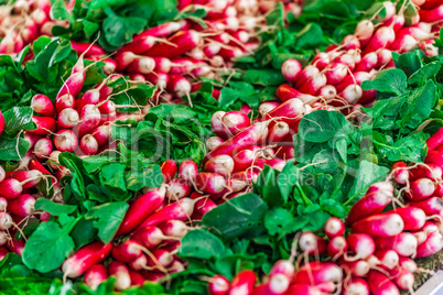 red radish on a french market table