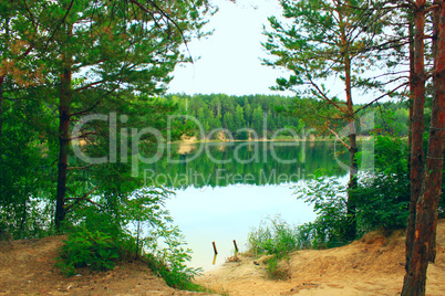 lake in the forest