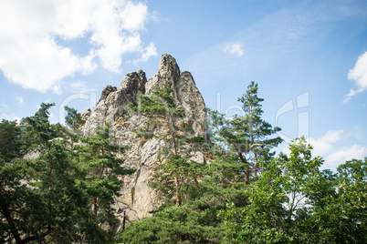 Teufelsmauer - Hamburger Wappen