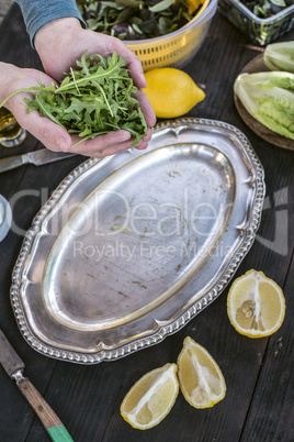 Preparing salad of arugula.