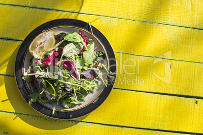 Spring salad of baby spinach, herbs, arugula and lettuce