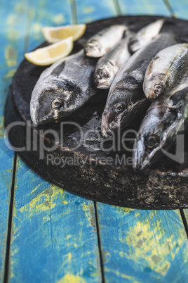 Raw fish. Sea bream, sea bass, mackerel and sardines