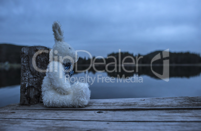 Fluffy toy bunny sitting on a pier