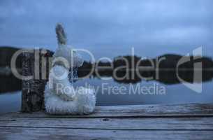 Fluffy toy bunny sitting on a pier