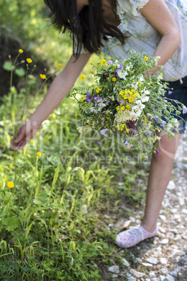 Woman collects wild flowers