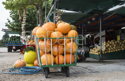 Pumpkins on the market