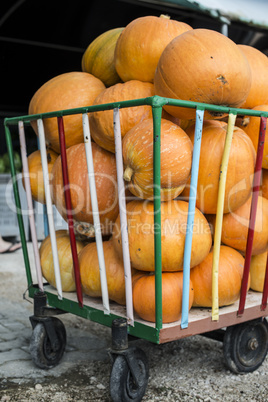 Pumpkins on the market