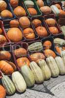 Pumpkins on the market