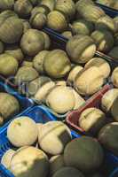 Melons on the market
