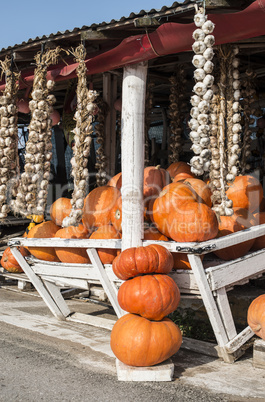 Pumpkins on the market