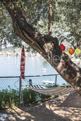Hammock under the olive trees on the beach