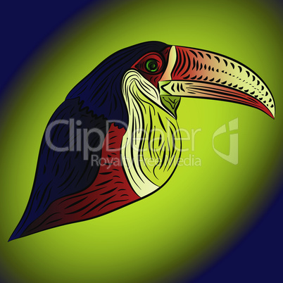 Abstract toucan.