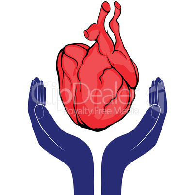 Hands and heart. Icon of kindness and charity vector valentine day