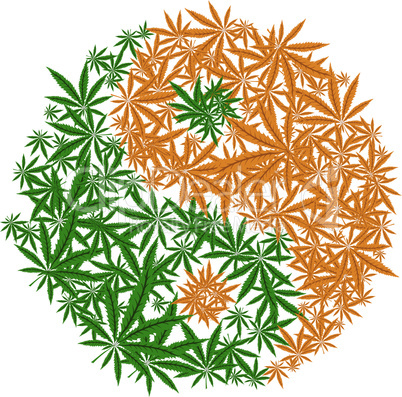 Colorful marijuana design