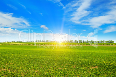 field, sunrise and blue sky