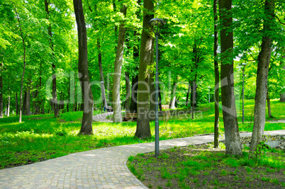 summer park with walking paths
