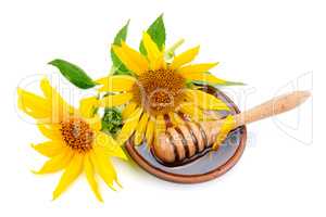 bee honey and sunflower isolated on white background