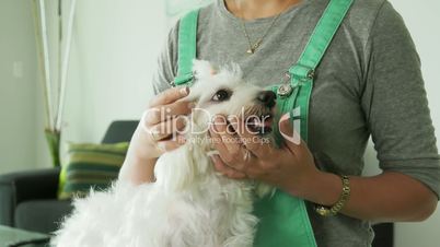2-Woman Inspecting Teeth Dental Hygiene Of Pet Dog