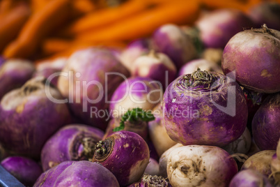 Close-up of purple and white onion background