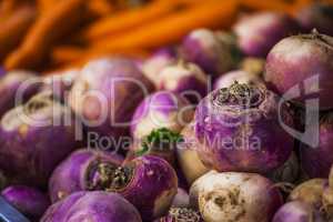 Close-up of purple and white onion background