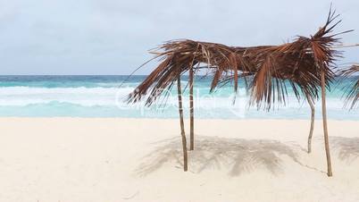 Palm sunroof at the sunny beach