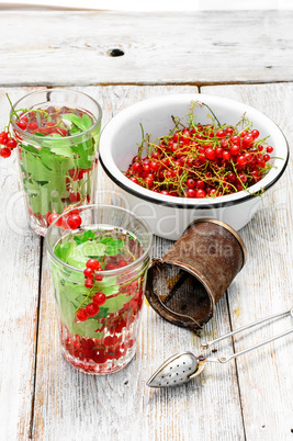 Tea with berries and leaves of currant