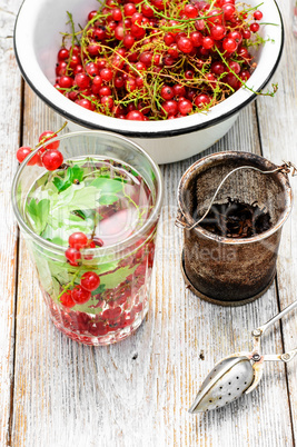 Tea with berries and leaves of currant