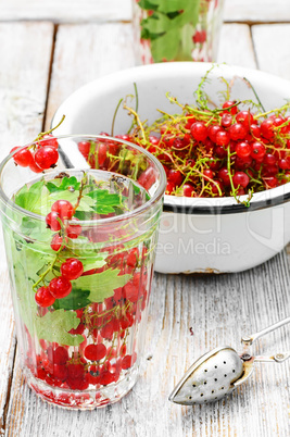 Tea with berries and leaves of currant