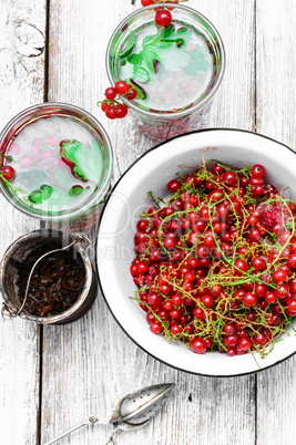 Tea with berries and leaves of currant