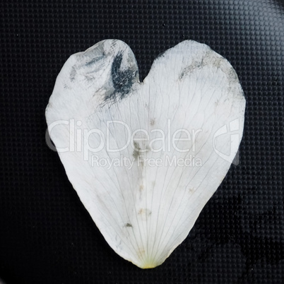 Heart shaped petal