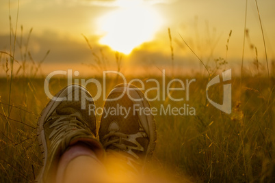 Traveller feet in sneakers at sunset in a field