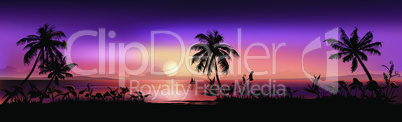 Tropical Sunset Background
