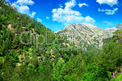 beautiful mountain landscape and blue sky