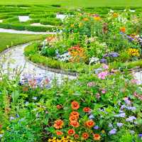 summer flower bed and green lawn