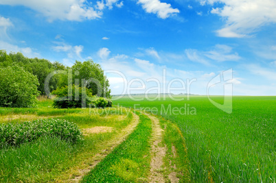field, country road and a blue sky